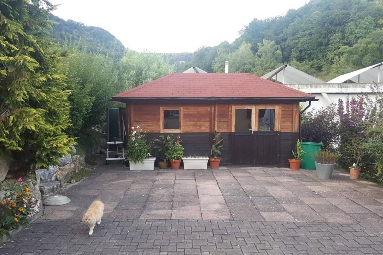 Mona'S Sleep & Go Bed and Breakfast Buren  Eksteriør billede