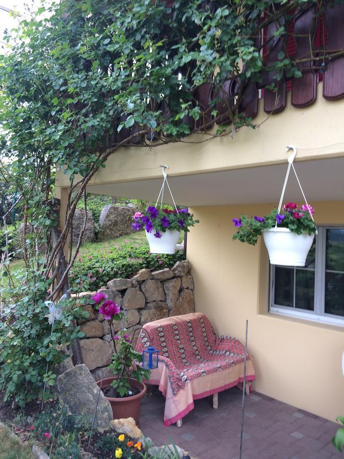 Mona'S Sleep & Go Bed and Breakfast Buren  Eksteriør billede